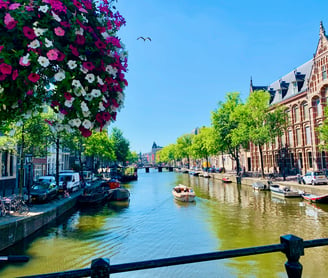 a boat on a river with flowers in the foreground