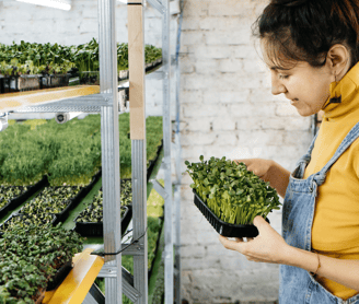 a woman in overalls  holding a tray of microgreens