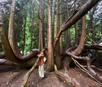 Dani de Rosa a person standing in front of a tree and give him a hug