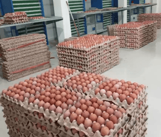 eggshells are stacked on top of each other