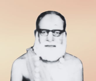 Srila Bhakti Sarana Santa Gosvami Maharaja