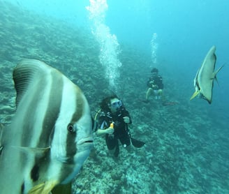 Maldives diving by Ruben Galante