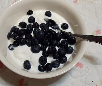 greek yogurt with blueberries