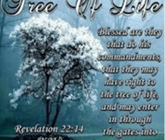 Jesus Prophecy Babylon warned