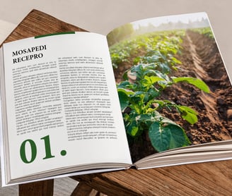 Magazine Mise en page Graphiste Haykantou 36