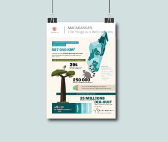 Infographie graphiste Haykantou Madagascar