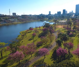 Parque de Lago