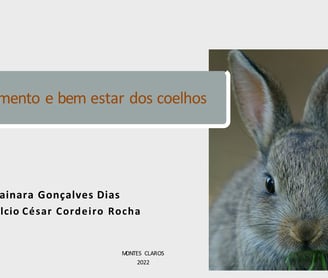 Etologia  e bem estar dos coelhos