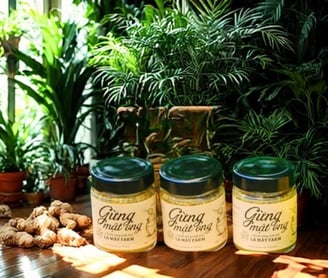 Gừng muối mật ong Lá Mây