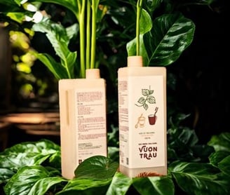 NƯỚC SÚC MIỆNG - CHÀ RĂNG VƯỜN TRẦU - VietHerb 5L