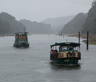 Forest boat ride Periyar - Kerala tour package