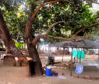 Nestle Sahyadri Beachfront Homestay Murdeshwar