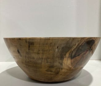 Norfolk Island Pine 210mm x 75mm