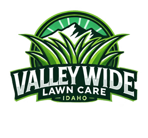 Valleywidelawncare.com