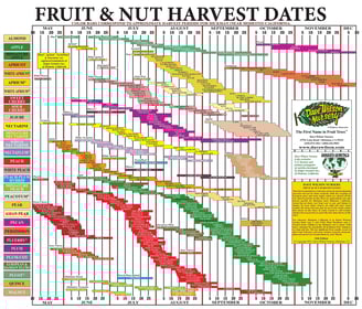 Dave Wilson Nursery ripening calendar chart