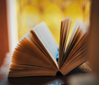 Libros y publicaciones de Editorial Globaliber