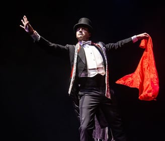 artis for hire , magician, face painter, bubble show, jugglers