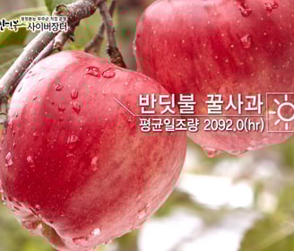 무주군 반딧불 사이버장터 홍보 영상 프로젝트입니다.