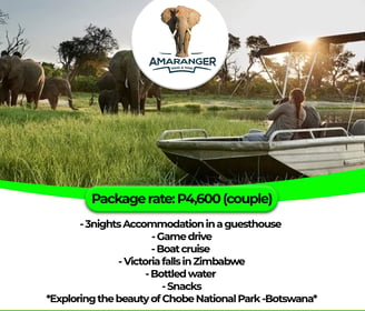 P4,600: 3N stay, game drive, boat cruise, Vic Falls (Zim), bottled water, snacks, Chobe tour.