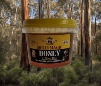 Yellow Box honey