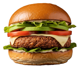 Soy Burger from PremiYum Foods!