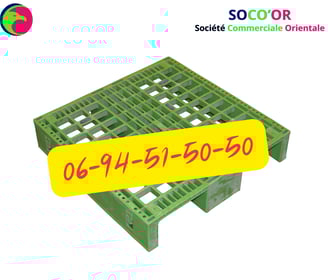 palette maroc prix