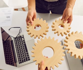 strategie digitali per aziende biologiche