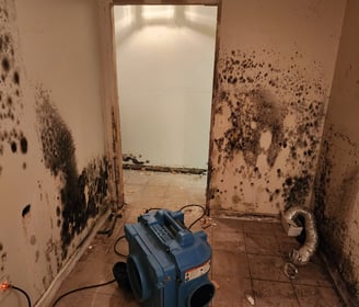 Prevent mold after water damage