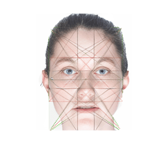 Facial Emotional Expressions image