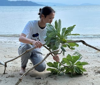 Ikebana performance featuring medicinal herbs and nocturnal pollination elements