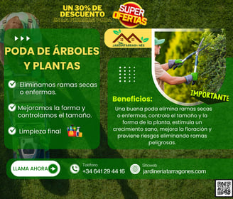 poda-de-arboles-en-altafulla.jpg