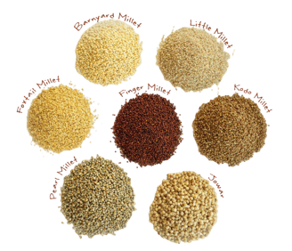 Millets trader