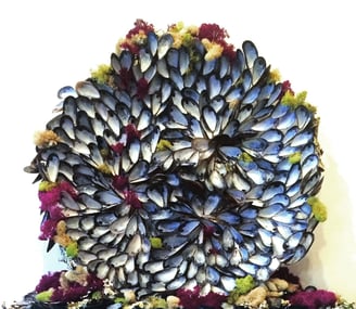 a mandala of mussels and flowers