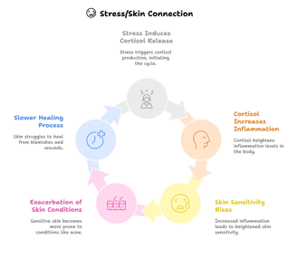 a circular diagram showing connection between stress induced cortisol and skin health