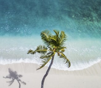 Tropical House Lose Popularity?