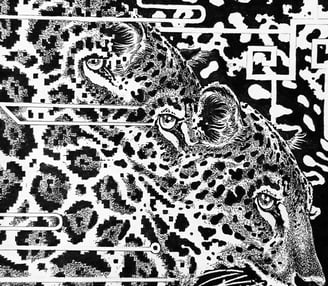 - “Jaguares Fantasmas Nocturnos”-2024