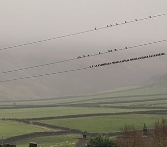 Starling spacings.  Lines in Lumbutts.  Boundaries, conduits.