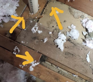 Filling gaps for air sealing Wisconsin attics reduces heat loss and pests 