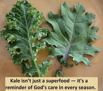 Kale isn’t just a superfood — it’s a reminder of God’s care in every season.
