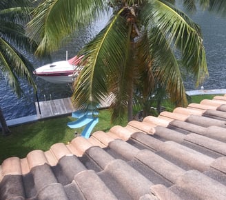 roof wash golden beach barrel tile