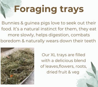 foraging trays