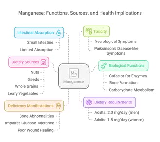 Manganese overview