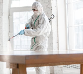 mold-removal-provo-ut-city