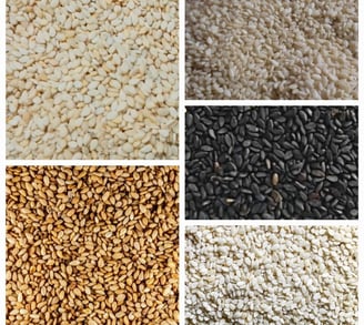 Biggest Sesame Seeds Exporters in Pakistan