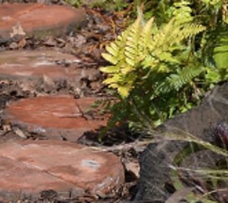 Gardeners' World Live 2024 Share my space with nature.