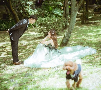photographer皇軼