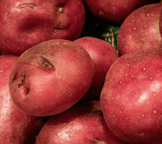 bunch of red potatoes