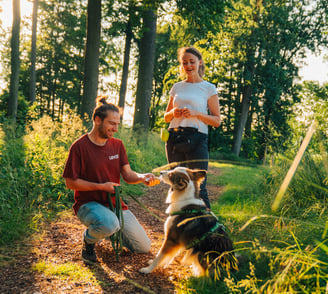 Einzelnes Mensch-Hund-Team mit Toni im Wald – Waldbaden als persönliche Auszeit