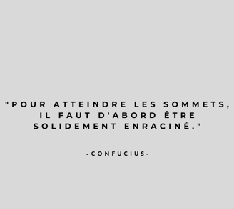 a quote from the famous french writer of the novel,'confucile