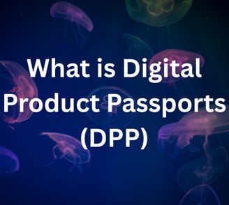 What is Digital Product Passports (DPP)
